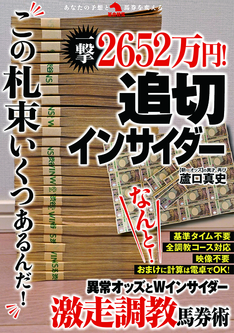 蘆口真史 著書 1